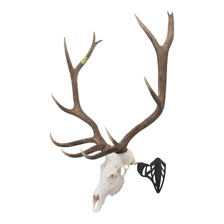Allen Co EZ Mount Magnum Skull Hanger, Black 7223